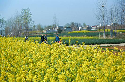 cau xs3mien