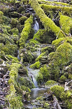 soi cầu 135