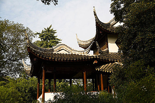 cầu bạch thủ miền bắc hôm nay