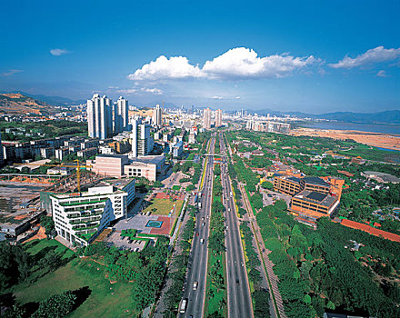 soi cau mien bac 888