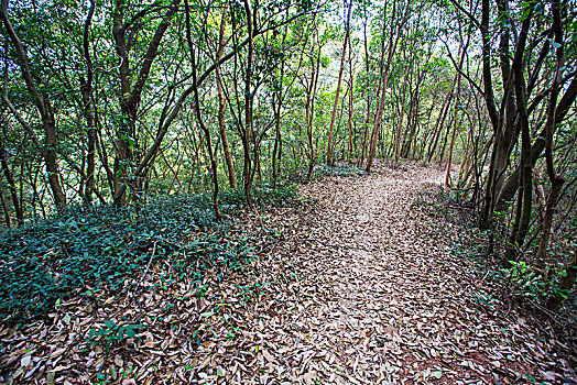 xổ số tuần rồi