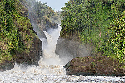 cau lo bach thu khung 3 ngay