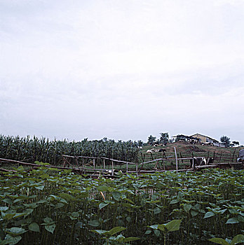 phân tích xsmb