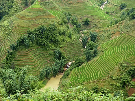 dự đoán xổ số trà vinh hôm nay